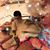 Jeanne Clark's profile image