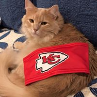 Joyce Meinhardt's profile image