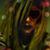 Mindy Chandler's profile image