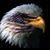Sharon Cline's profile image