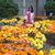 Hương Phạm's profile image
