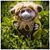 Kristine Burns-Duder's profile image