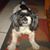 Deborah Klem Poole's profile image