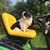 Suzanne Brunner's profile image