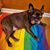 Karen Bronzell's profile image