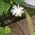 Judy Ziegel's profile image
