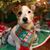 Katie Hazlett's profile image