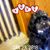Patricia Swinehart-Wolf's profile image