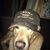 Peter Tauch's profile image