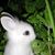 Peggy Hatcher's profile image