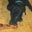 Lynne Searles's profile image