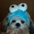 Brenda Hance Didario's profile image