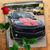 Shelly Cruze's profile image