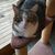 Tammy Trickle Berry's profile image