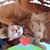 Jeremy Collyer Reyes's profile image