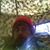 Scott A Rohdy's profile image