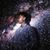 Ammarrafi Saputro's profile image