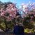 Melinda Allbaugh-Jones's profile image