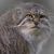 Jeffrey Ray Cope's profile image