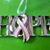 Joan Sadowski Stephenson's profile image