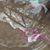 Shanda Butler Maiolo's profile image