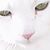 Ella Abela's profile image