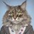 Holly Edwards Putman's profile image