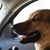 Marty Clawson's profile image