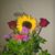 Graciela Lopez's profile image