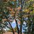 Antoinette Parker Marhafer's profile image
