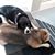 Denise Schimmoller's profile image