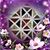 Connie L Malm Anderson's profile image