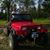 Michelle McGrew's profile image