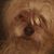 Cooper Hubbell's profile image