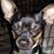 Salome Cox's profile image