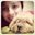 Carolina Saenz's profile image