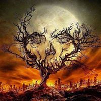 Alis Brown's profile image