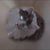 Jim Luttgens's profile image