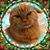 Robin Laberdee's profile image