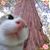 Kathy Klauss Marshall's profile image