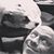 Tim Keenan's profile image