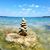 Cindi Price Chappee's profile image