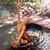 Lynn Massey's profile image