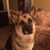 Wendy Lykins's profile image