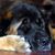 Judith McKinley Hogan's profile image