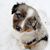 Siri Mock Salonen's profile image