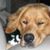 Connie Jackson's profile image