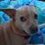 Cathy Daly's profile image