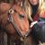 Haylie Back's profile image