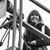 Debi Del Grande's profile image
